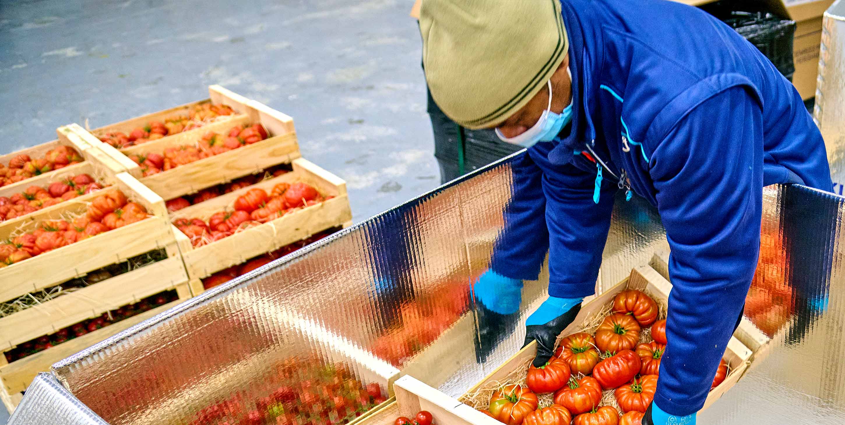 Food waste prevention in fresh produce logistics | Kuehne+Nagel