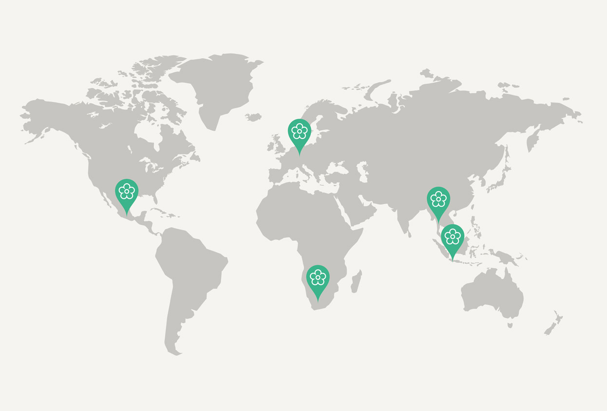 View a world map of flower meadows