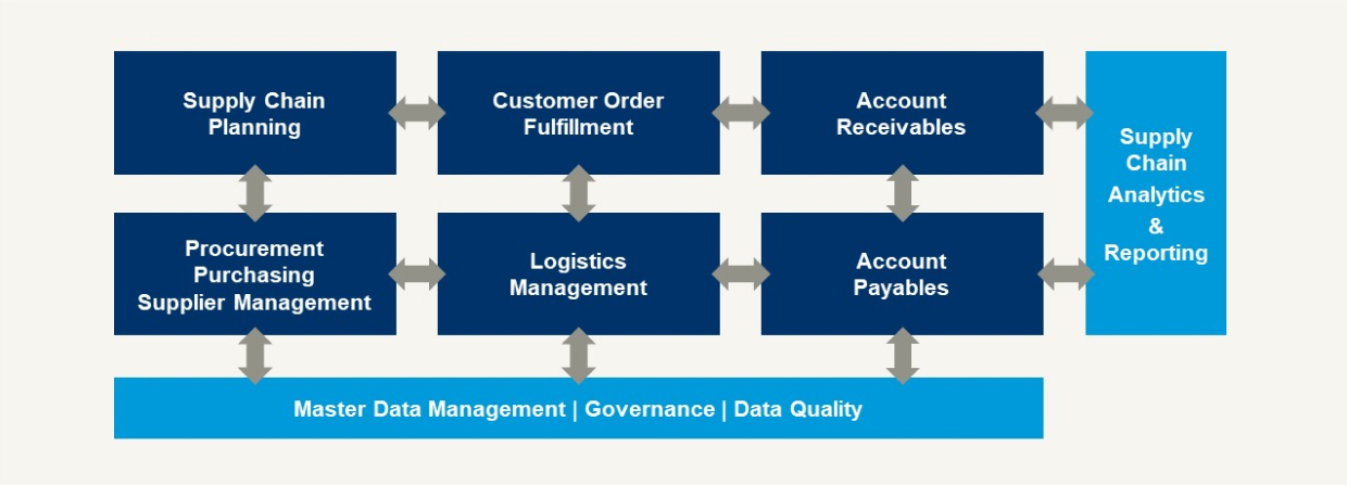 Details of the supply chain activity scope 