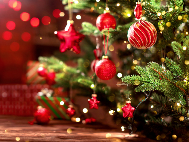 Christmas and New Year Schedules 2024-2025